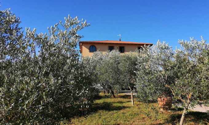 Montorsaio Otro | Agriturismo La Steccaia Alta