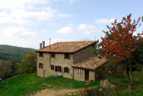 Vivo dʼOrcia Apartamento | - Agriturismo La Piaggia - forest view apartment on the ground floor 2 guests