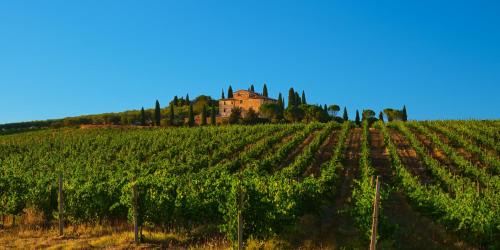 Agello Apartamento | Agriturismo La Torre dell'Oliveto