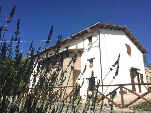 Montemonaco Casa | Agriturismo Le Castellare