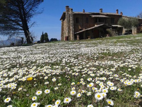 Acquapendente Casa | Agriturismo Le Roghete