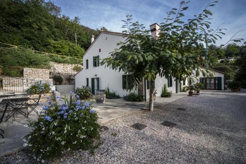 Cinto Euganeo Casa | Agriturismo Le Volpi