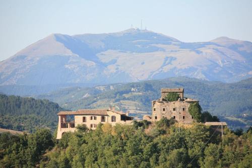 Nerbisci Casa | Agriturismo Monte Valentino