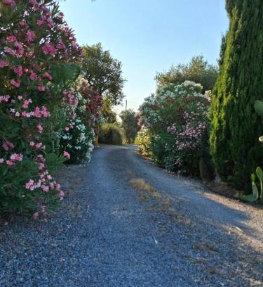 Magliano in Toscana Apartamento | Agriturismo podere 329