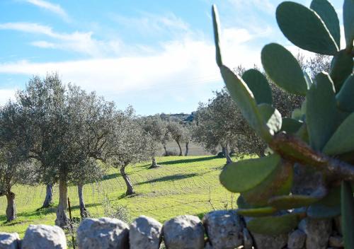 Ragusa Casa | Agriturismo Tenuta Carbonara