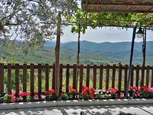Monteforte Cilento Casa | Agriturismo Tre Morene