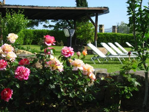 Lastra a Signa Casa | Agriturismo Villani Poderi Nesti & Cupoli