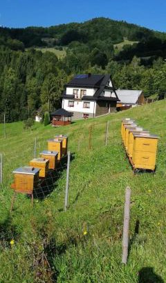 Ochotnica Dolna Casa | Agroturystyka Anna