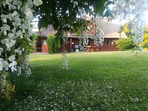 Sarbsk Casa | Agroturystyka Józefówka Borkowo Lęborskie