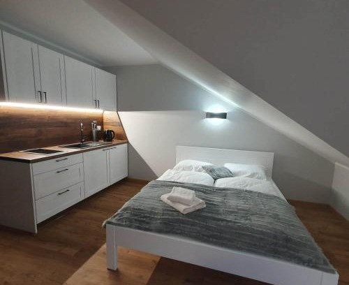 Koniakow Apartamento | Agroturystyka Koronkowe Zacisze