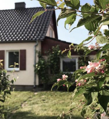 gmina Cieszkow Casa | Agroturystyka pod jeleniem