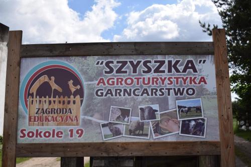 Czluchow Casa | Agroturystyka SZYSZKA