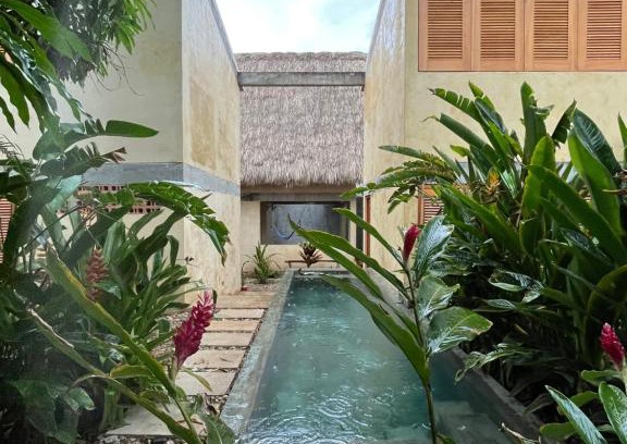 Tamarindos Casa | Agua de Coco