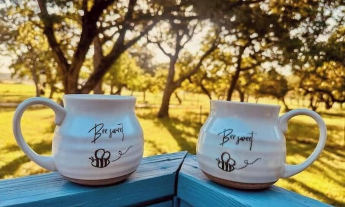 Fredericksburg Cama Y Desayuno | Air B & Bees