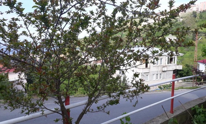 Akcaabat Apartamento | Akcaabat Village House