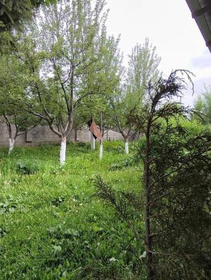 Chuy Province Cama Y Desayuno | Akjol guest house