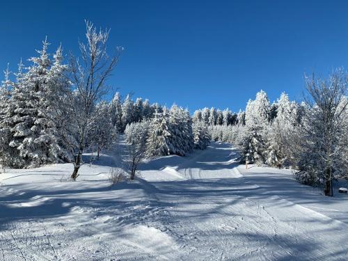 Hildfeld Apartamento | Aktiv-Ferienwohnung "Snow & Bike"- Zentral zwischen Winterberg und Willingen