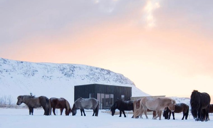 Sveitarfelagid Olfus Casa | Akurgerði Guesthouse 6 - Country Life Style