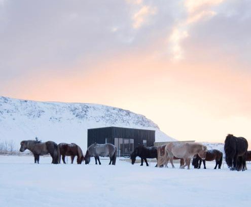Sveitarfelagid Olfus Casa | Akurgerði Guesthouse 8 - Country Life Style