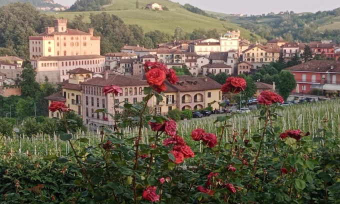 Barolo Casa | AL CIVICO 20 L'impero Del Sole!
