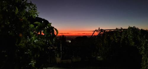 Marino Casa | Al focolare di Enzo