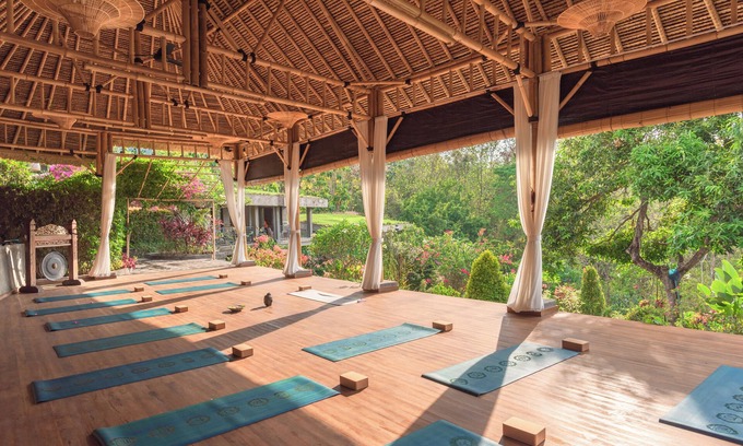 Kayu Putih Hotel | Alamanda Lovina Resort