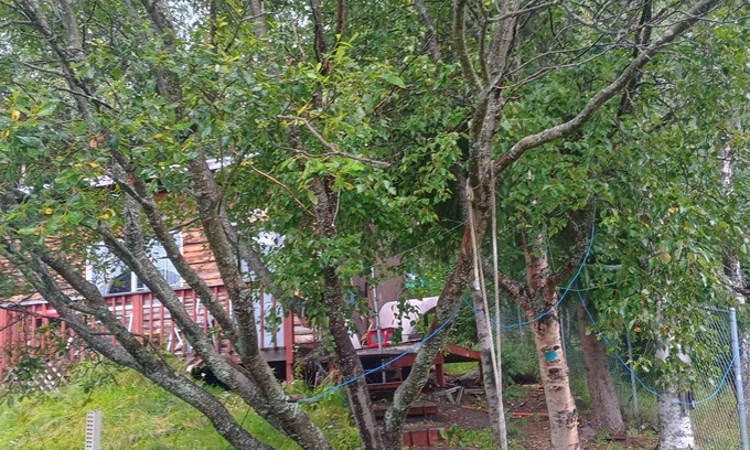 Bird Creek Cabina | Alaskan Cabin near Girdwood, Aleyska, and Anchorage