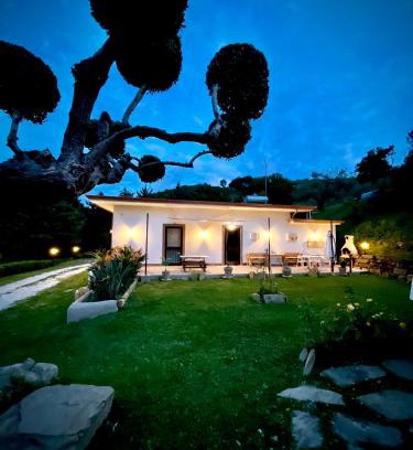 Laureana Cilento Casa | Alba in vigna Bed and Breakfast