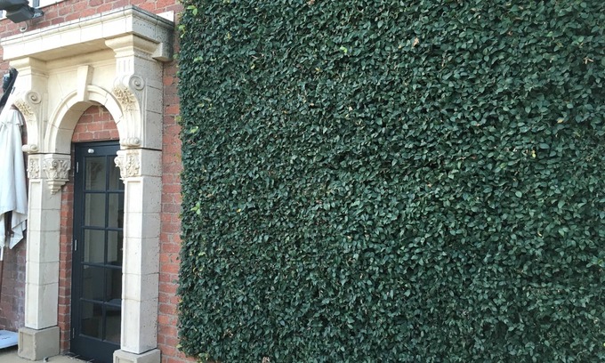 Albury Hotel | Albury Manor House