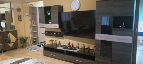 Satu Mare Apartamento | Alex12
