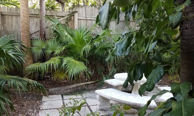 Old Town Hotel | Alexander Palms Court