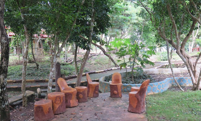 Dauis Casa | Alexis Cliff Dive Resort