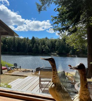 Algonquin Highlands Casa | Algonquin Waterfront and Winter Paradise With Sunsets