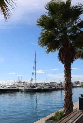 Alicante Casa | Alicantan Vital Experience