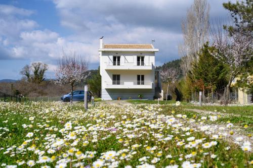 Parelia Apartamento | Aliki`s Luxury Suite with view, pet friendly!