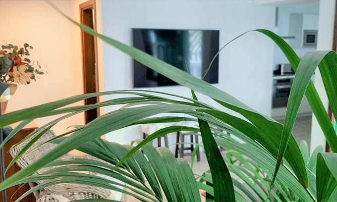 Playa Honda Casa | ALIZUTH HOME