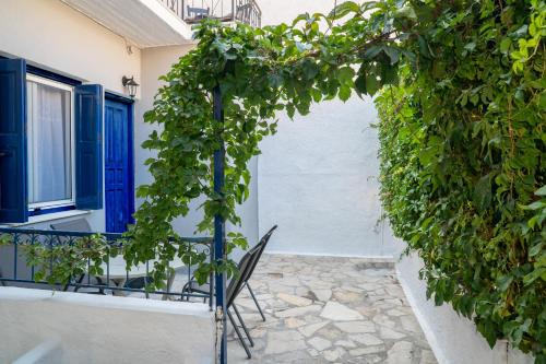 Pythagorion Apartamento | Alkmini's
