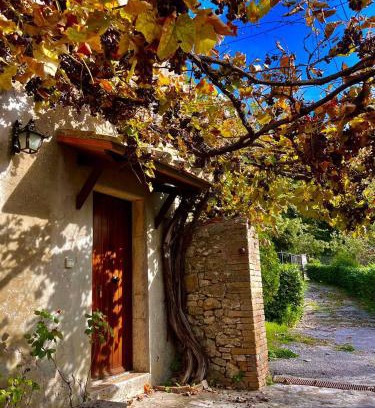 Semproniano Casa | All'Acqua Santa, immersi nella natura
