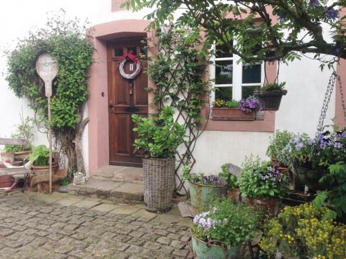 Loogh Cama Y Desayuno | All Seasons Bed & Breakfast