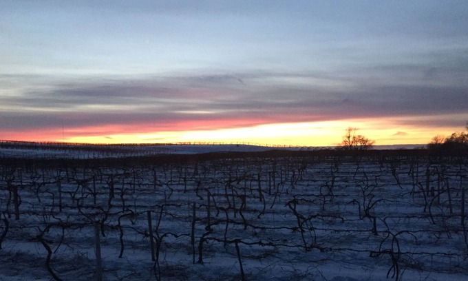 Lawton Cabaña | All Sports Lake Private Home Wine Country Pure Michigan Close to Wineries Casino