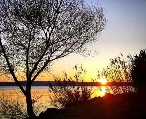 Bolsena Apartamento | Alloggio Turistico Civico 4