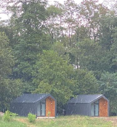Francesti Cabina | Alma Lake