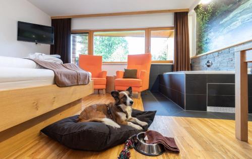 Ramsau am Dachstein Hotel | Almfrieden Hotel & Romantikchalet