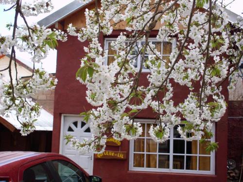 Aluminé Chalet De Esquí | Alojamiento Quilque Lil