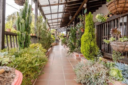 Rionegro Hotel | Alojamiento Rionegro aeropuerto