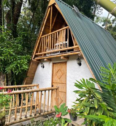 Paicol Otro | Alojamiento rural Ecoparque La Motilona Paicol, Huila - Cabaña Yanay