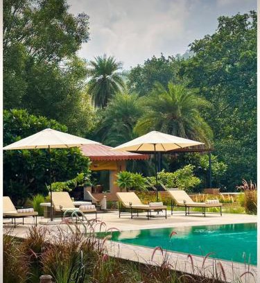 Ghanerao Cabina | Aloof Jungle Lodge