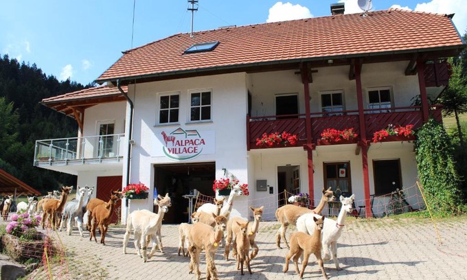 Lauterbach Apartamento | Alpaca-Village