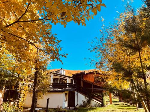 Recea Casa | Alpinlife