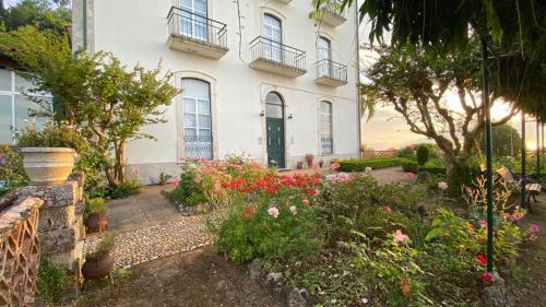 Penacova Cama Y Desayuno | Altíssima Guesthouse Penacova